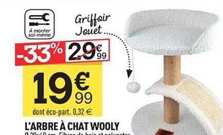 l'arbre à chat wooly