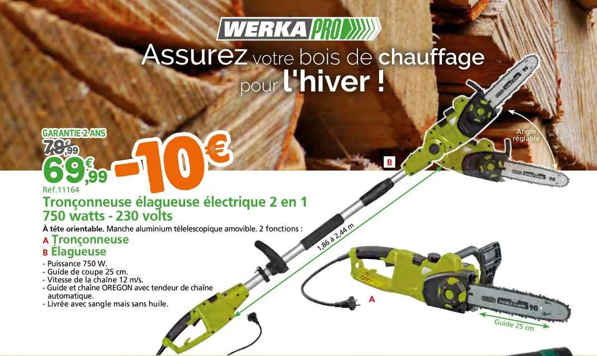 tronçonneuse élagueuse électrique 2 en 1 750 watts - 230 volts