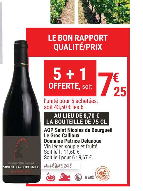 aop saint nicolas de bourgueil le gros cailloux domaine patrice delanoue