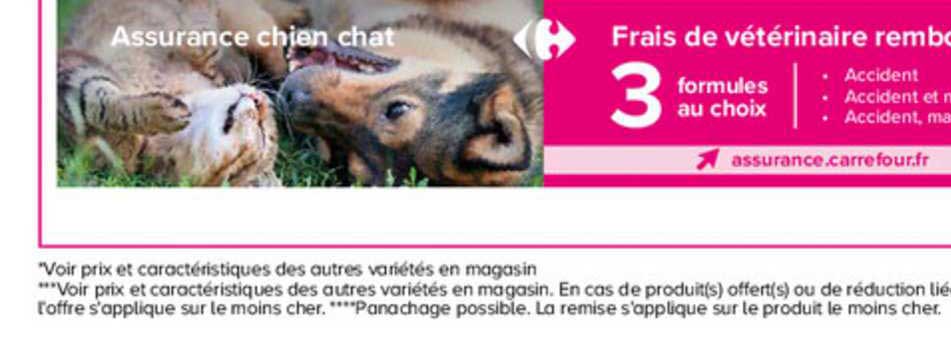 assurance chien chat