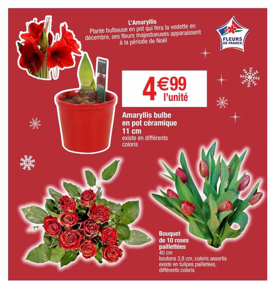 amaryllis bulbe en pot céramique 11 cm, bouquet de 10 roses paillettées