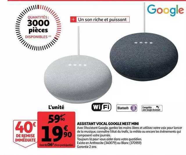 assistant vocal google nest mini