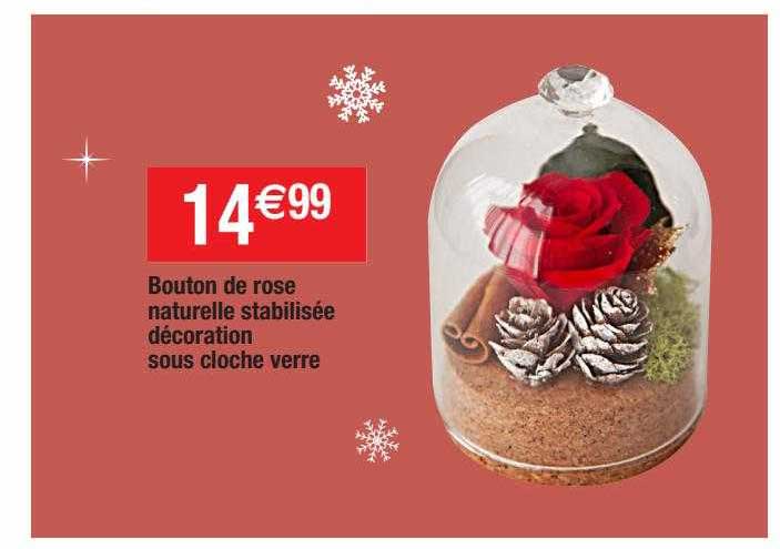 bouton de rose naturelle stabilisée décoration sous cloche verre