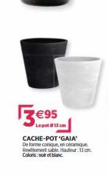 cache-pot "gaia"