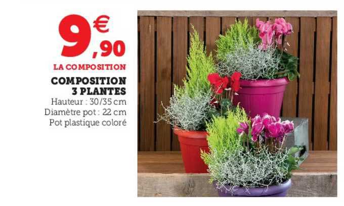 Composition 3 Plantes