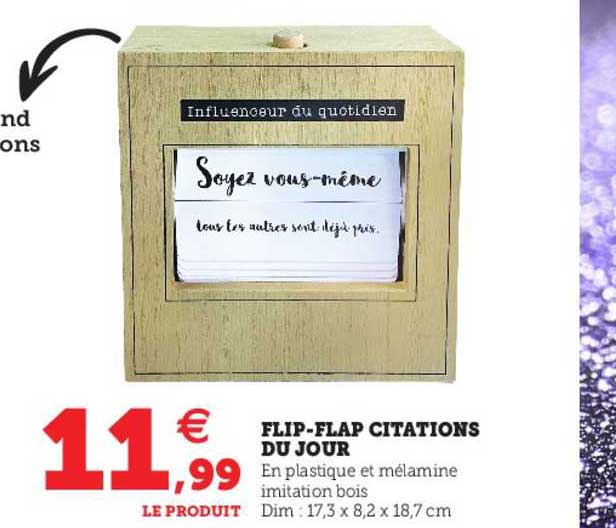 flip-flap citations du jour
