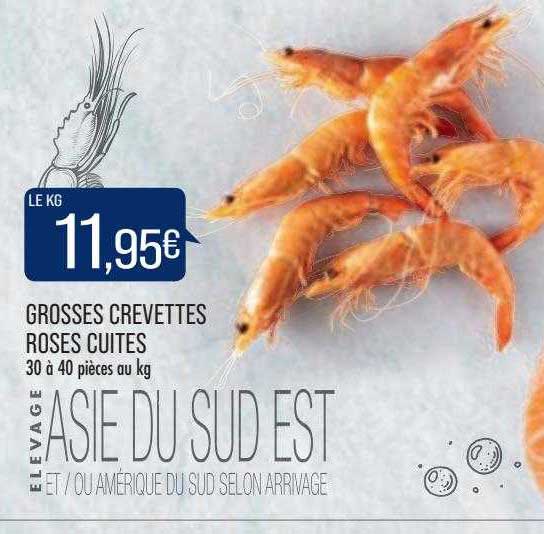 grosses crevettes roses cuites