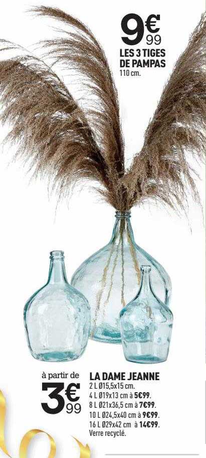 les 3 tiges de pampas, la dame jeanne