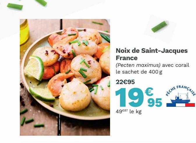 noix de saint-jacques france