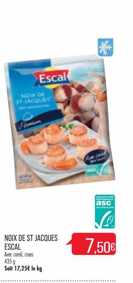 noix de st jacques escal