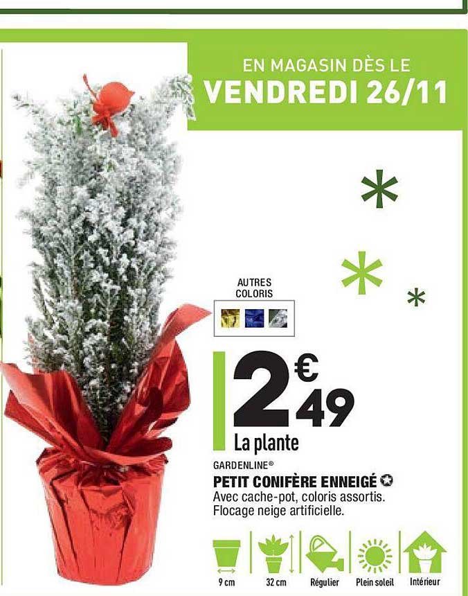 petit conifère enneigé gardenline