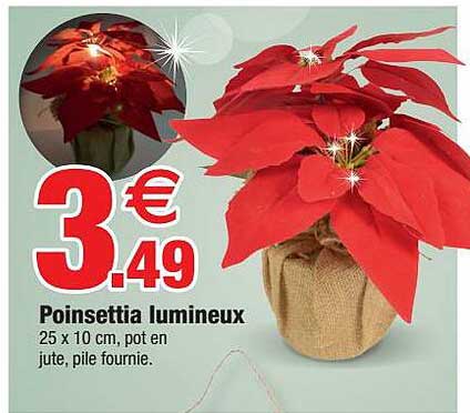 poinsettia lumineux