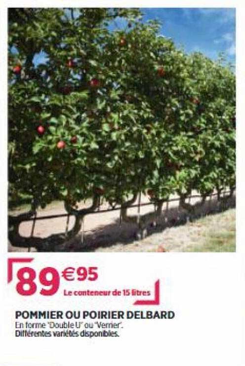 pommier ou poirier delbard
