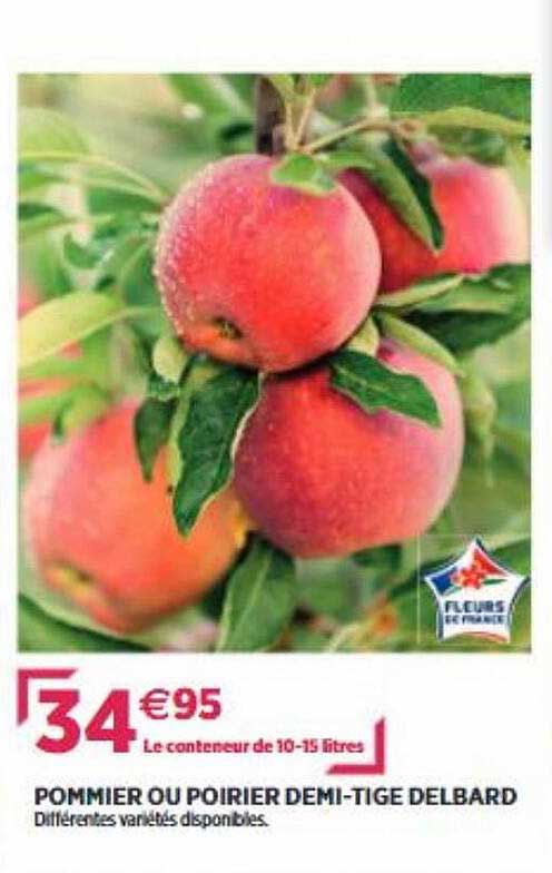 pommier ou poirier demi-tige delbard