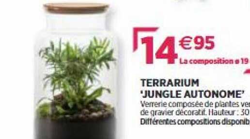 Terrarium "jungle Autonome"
