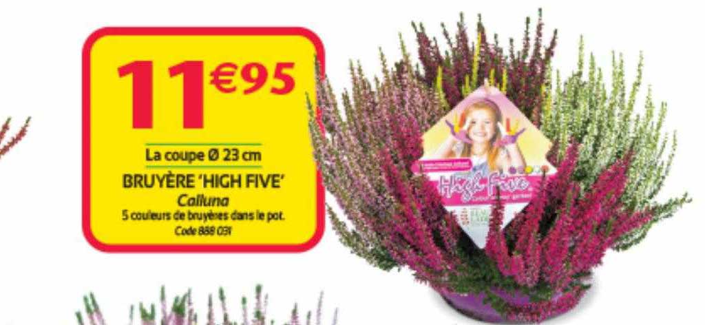 bruyère "high five"