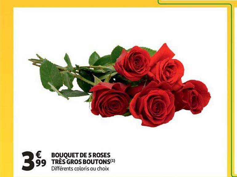 bouquet de 5 roses très gros boutons
