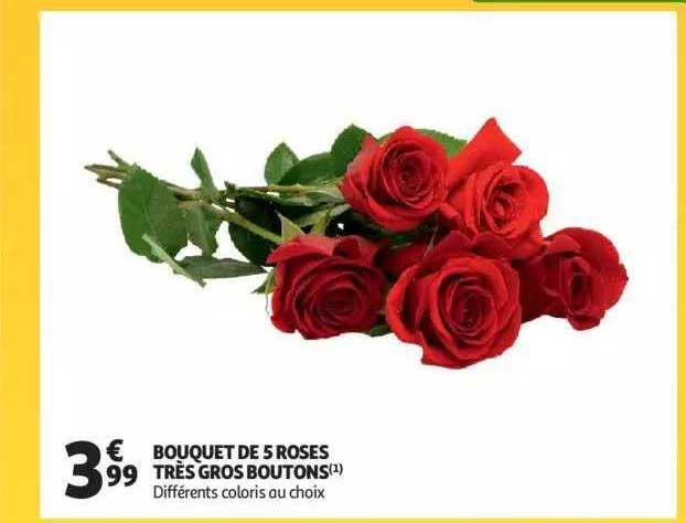 bouquet de 5 roses très gros boutons