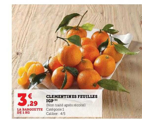 Clémentines Feuilles Igp