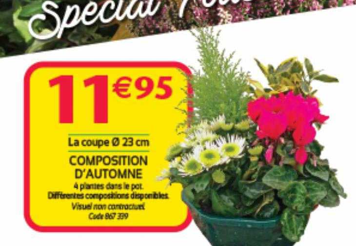 composition d'automne