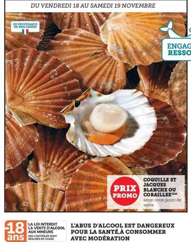 coquille st jacques blanche ou coraillée