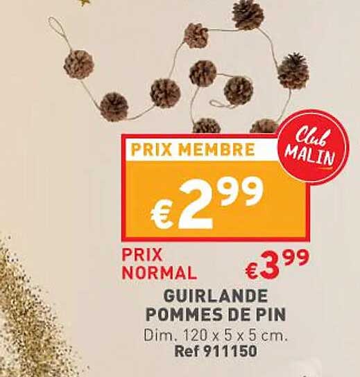 Guirlande Pommes De Pin