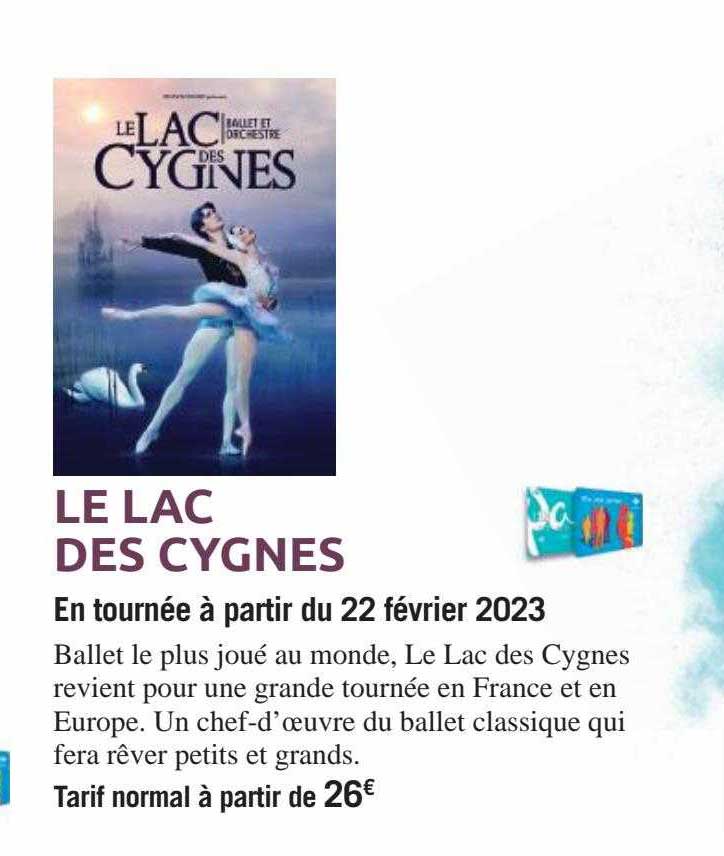 le lac des cygnes