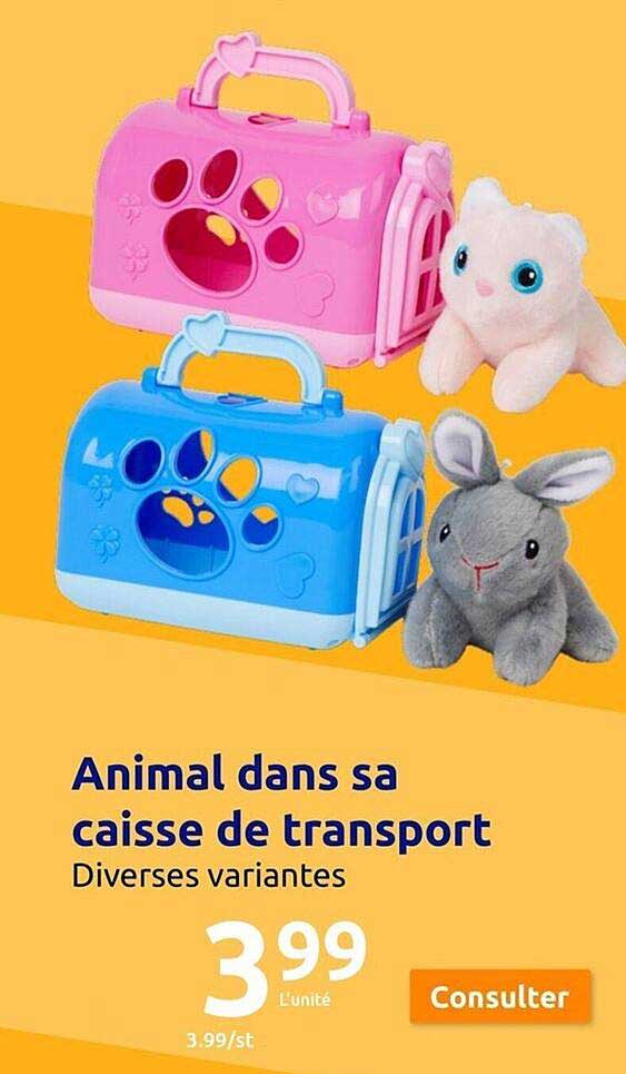 animal dans sa caisse de transport