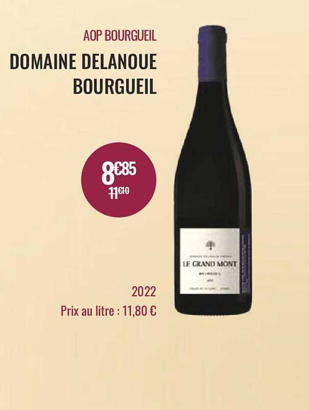 aop bourgueil domaine delanoue bourgueil