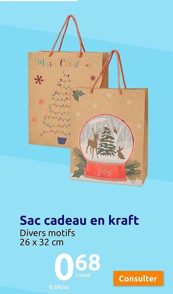 Sac Cadeau En Kraft