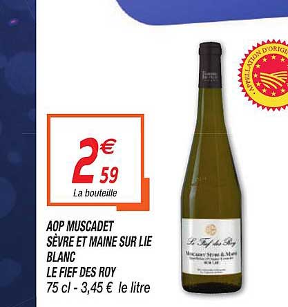 aop muscadet sèvre et maine sur lie blanc le fief des roy
