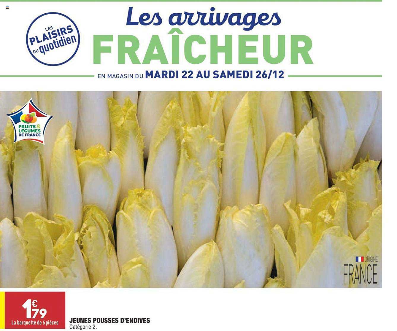 jeunes pousses d'endives