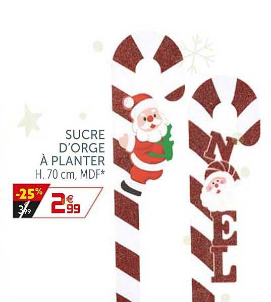 sucre d'orge à planter