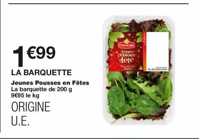 jeunes pousses en fêtes