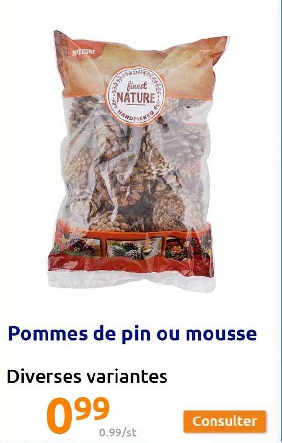 Pommes De Pin Ou Mousse