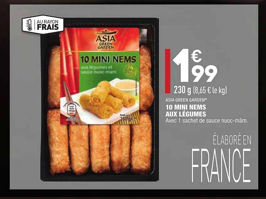 10 mini nems aux légumes asia green garden
