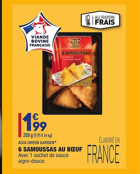 6 samoussas au bœuf asia green garden