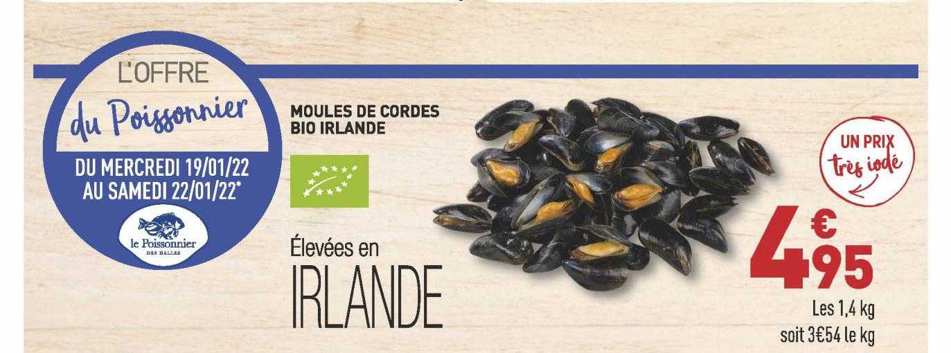 moules de cordes bio irlande