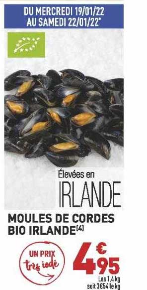 moules de cordes bio irlande