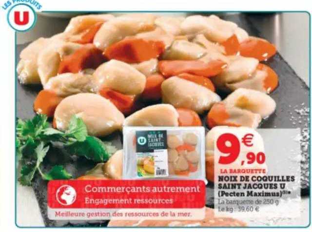 Noix De Coquilles Saint Jacques U