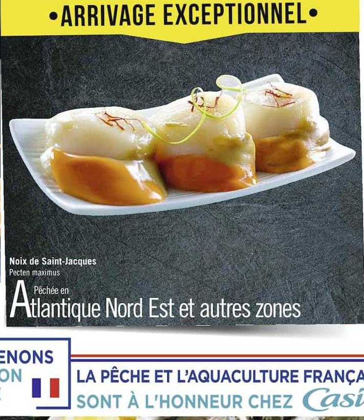 noix de saint-jacques