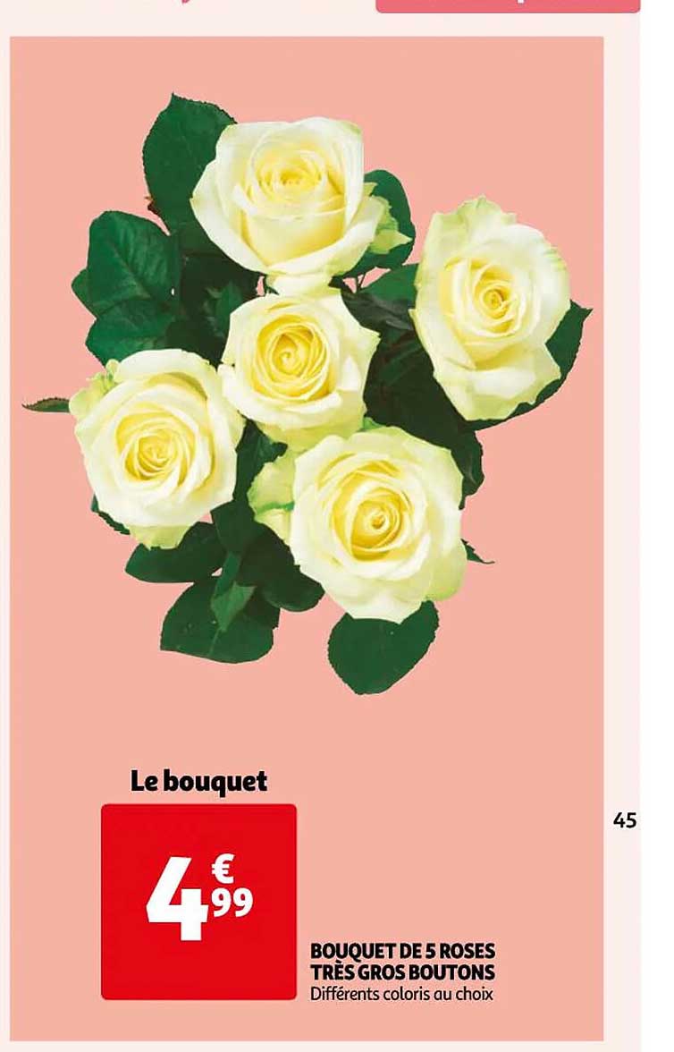bouquet de 5 roses très gros boutons