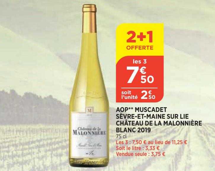 aop muscadet sèvre-et-maine sur lie château de la malonnière blanc 2019