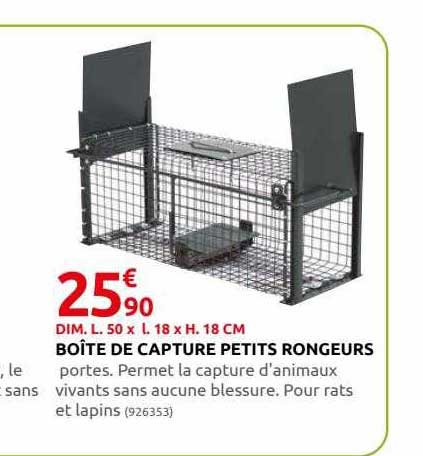 boîte de capture petits rongeurs
