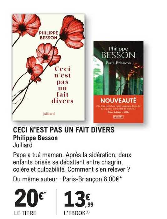 ceci n'est pas un fait divers - philippe besson