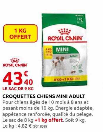 croquettes chiens mini adult royal canin