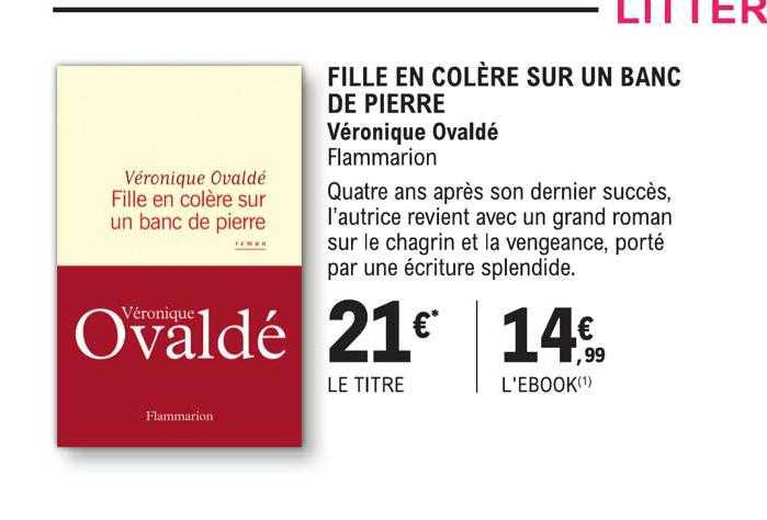 fille en colère sur un banc de pierre - véronique ovaldé