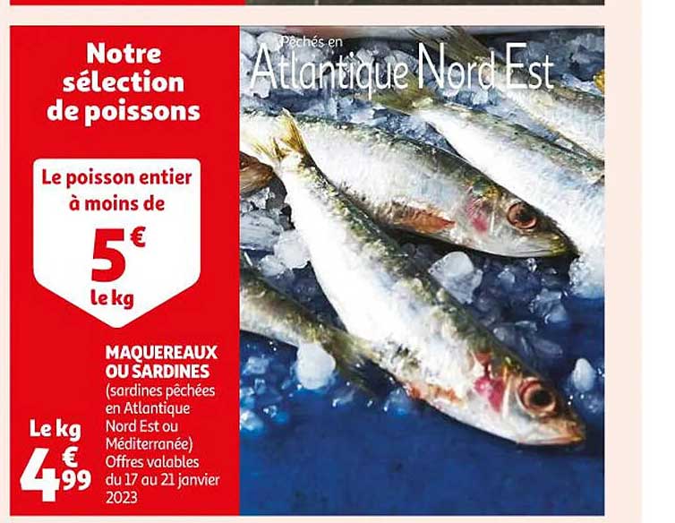 Maquereaux Ou Sardines