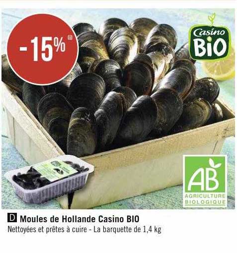 Moules De Hollande Casino Bio