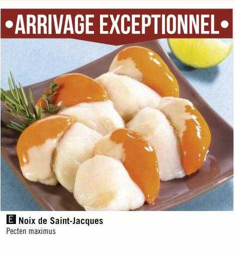 noix de saint-jacques